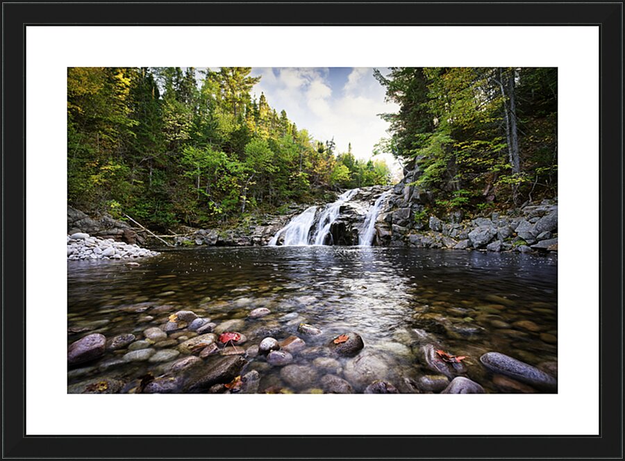2436369 :: Framed Print