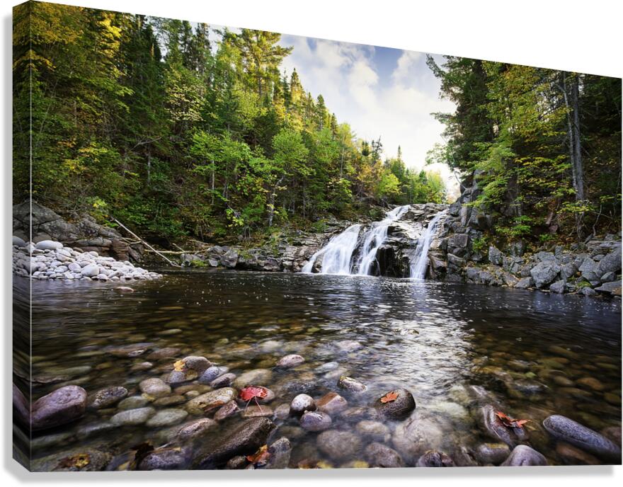 2436369 :: Giclée Stretched Canvas Print