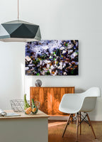 2436357 :: HD Sublimation Metal Print