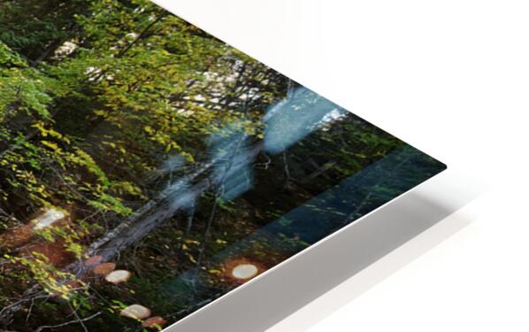 2436369 :: HD Sublimation Metal Print